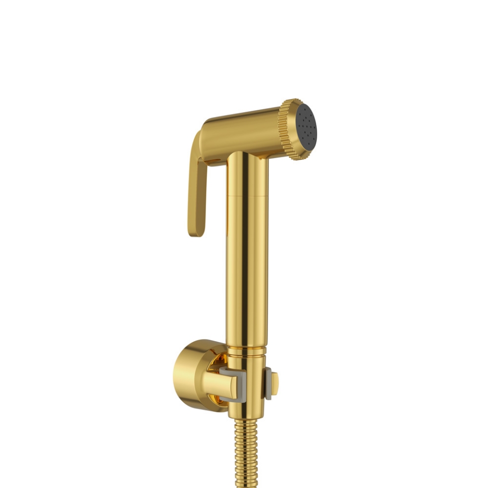 Picture of Health Faucet Kit - Gold Bright PVD