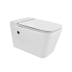 Picture of Tankless Wall Hung WC